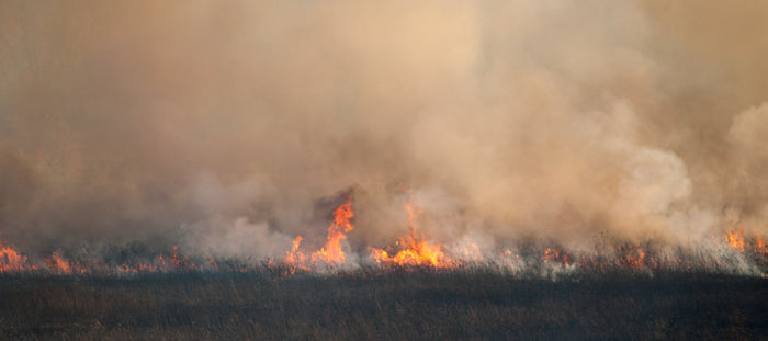 DrLOUIE Cleansing Duo